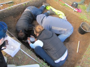 Excavating the pot