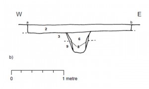 Section drawing